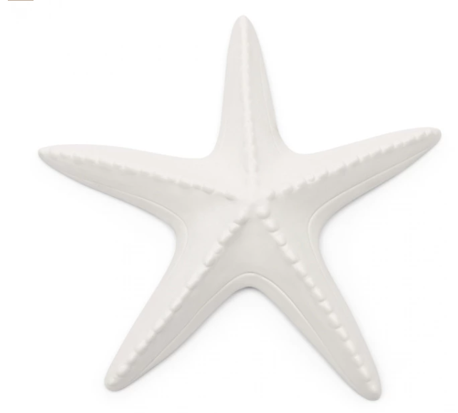 Etoile Starfish Decoration